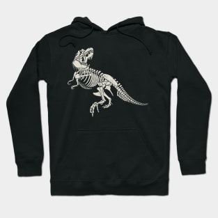 Paleontologist Dinosaur Fathers Day Gift Funny Retro Vintage Hoodie